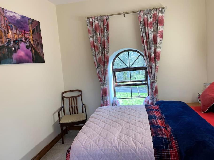 Cut Limestone Apartment Riverside Lodge Карлоу Екстер'єр фото