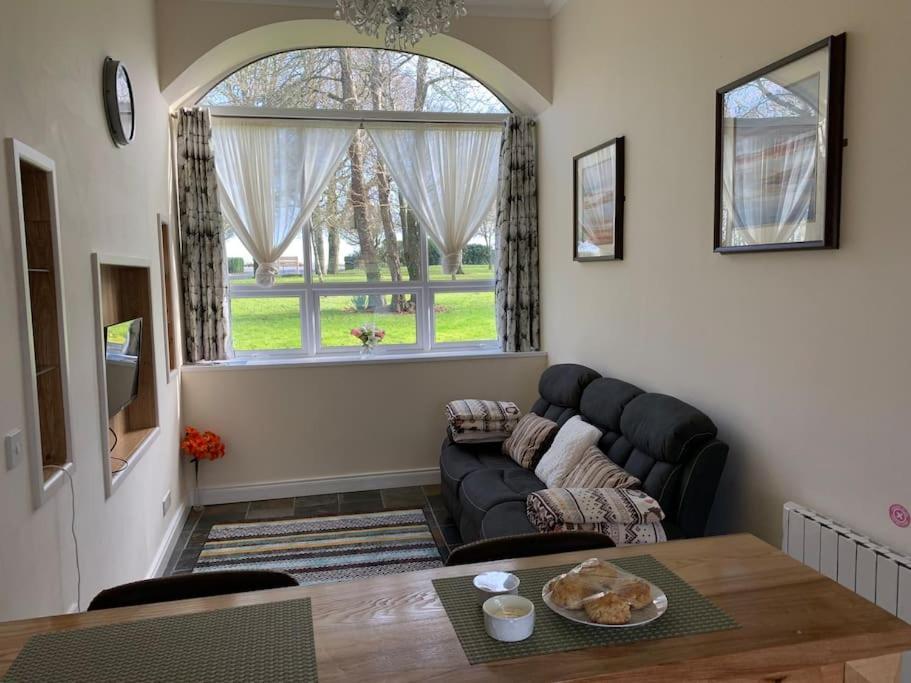 Cut Limestone Apartment Riverside Lodge Карлоу Екстер'єр фото